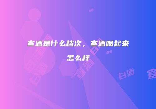 宣酒是什么档次，宣酒喝起来怎么样