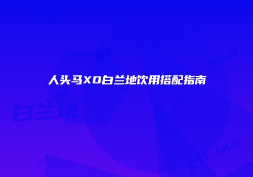 人头马XO白兰地饮用搭配指南
