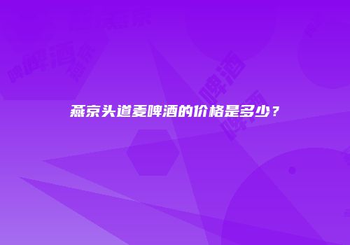 燕京头道麦啤酒的价格是多少？