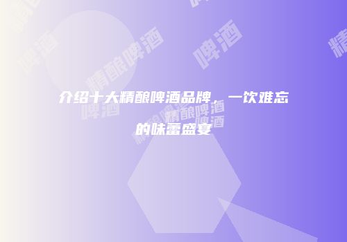 介绍十大精酿啤酒品牌，一饮难忘的味蕾盛宴