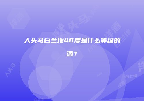 人头马白兰地40度是什么等级的酒？