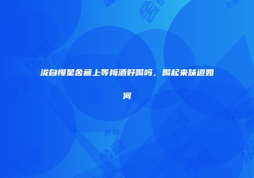 泷自慢星舍藏上等梅酒好喝吗，喝起来味道如何