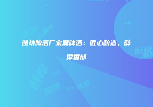 潍坊啤酒厂家黑啤酒：匠心酿造，醇厚香郁