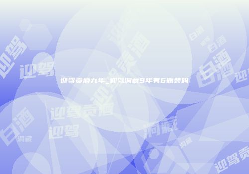 迎驾贡酒九年_迎驾洞藏9年有6瓶装吗