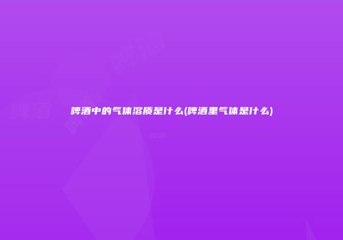 啤酒中的气体溶质是什么(啤酒里气体是什么)