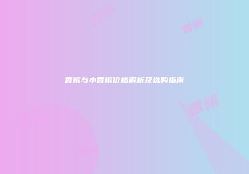 香槟与小香槟价格解析及选购指南