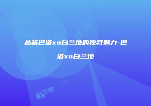 品鉴巴洛xo白兰地的独特魅力-巴洛xo白兰地