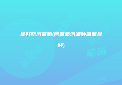 最好酿酒葡萄(酿葡萄酒哪种葡萄最好)