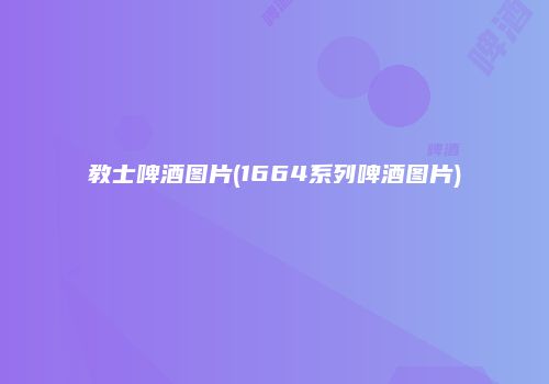 教士啤酒图片(1664系列啤酒图片)