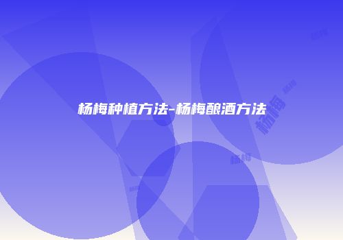 杨梅种植方法-杨梅酿酒方法
