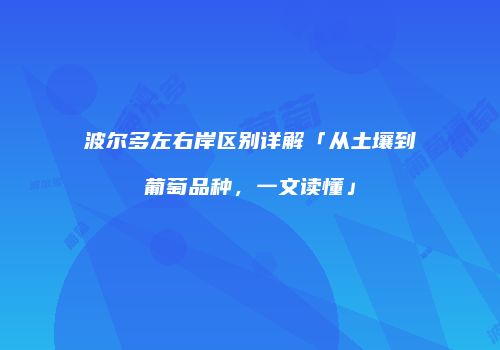 波尔多左右岸区别详解「从土壤到葡萄品种，一文读懂」