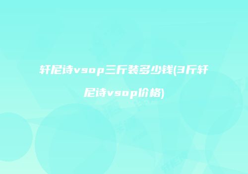 轩尼诗vsop三斤装多少钱(3斤轩尼诗vsop价格)