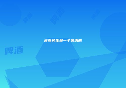 青岛纯生是一个啤酒吗