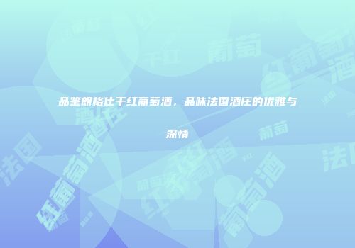 品鉴朗格仕干红葡萄酒，品味法国酒庄的优雅与深情