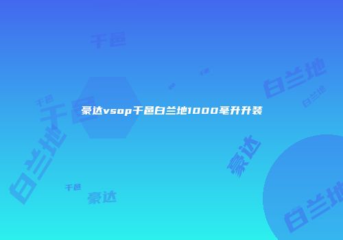 豪达vsop干邑白兰地1000毫升升装