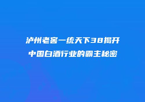 泸州老窖一统天下38揭开中国白酒行业的霸主秘密