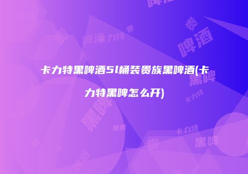 卡力特黑啤酒5l桶装贵族黑啤酒(卡力特黑啤怎么开)