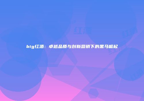 big红酒：卓越品质与创新营销下的黑马崛起