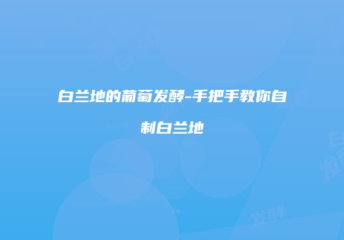 白兰地的葡萄发酵-手把手教你自制白兰地