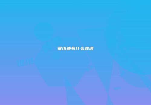 银川都有什么啤酒