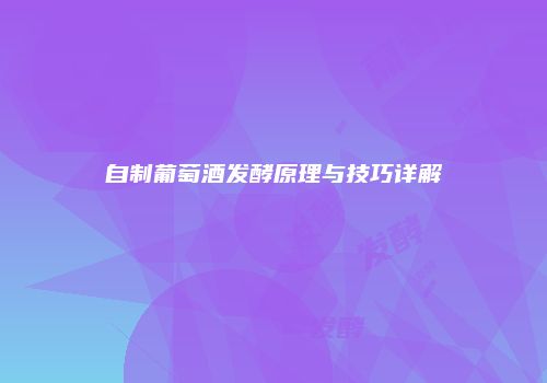 自制葡萄酒发酵原理与技巧详解