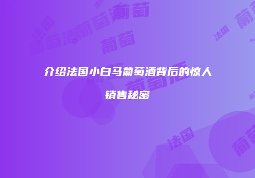 介绍法国小白马葡萄酒背后的惊人销售秘密