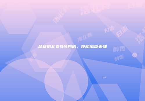 品鉴洛北春9号白酒，领略醇香美味