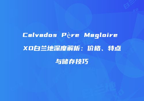 Calvados Père Magloire XO白兰地深度解析：价格、特点与储存技巧