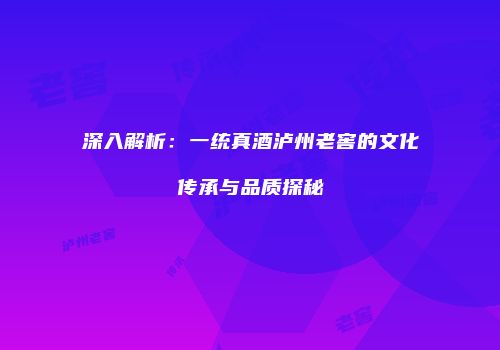 深入解析：一统真酒泸州老窖的文化传承与品质探秘