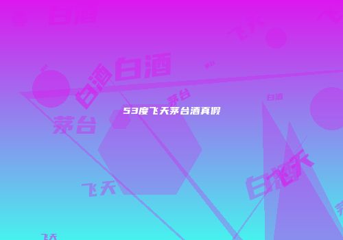 53度飞天茅台酒真假