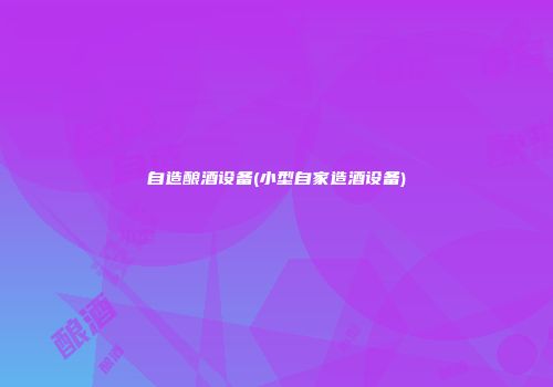 自造酿酒设备(小型自家造酒设备)
