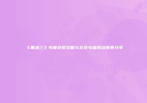 《黑魂三》鸟巢获取攻略与北京鸟巢周边趣事分享