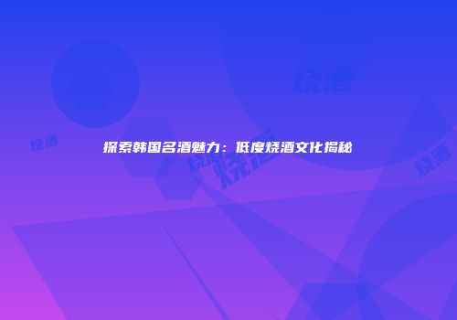 探索韩国名酒魅力：低度烧酒文化揭秘