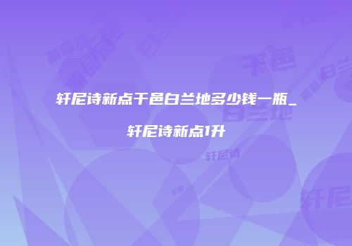 轩尼诗新点干邑白兰地多少钱一瓶_轩尼诗新点1升