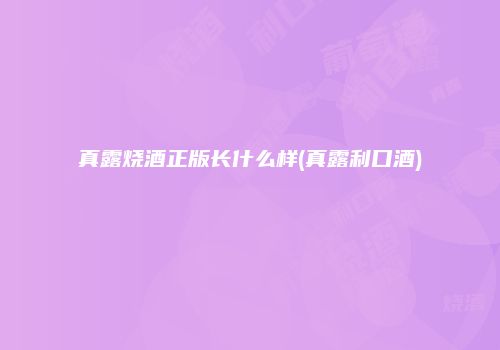 真露烧酒正版长什么样(真露利口酒)