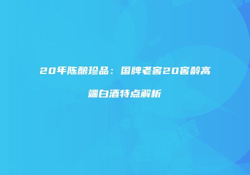 20年陈酿珍品：国牌老窖20窖龄高端白酒特点解析