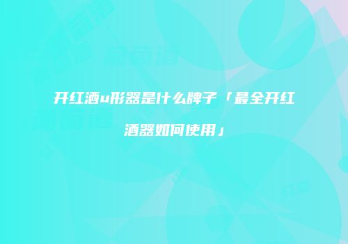 开红酒u形器是什么牌子「最全开红酒器如何使用」