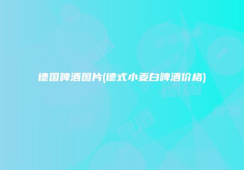 德国啤酒图片(德式小麦白啤酒价格)