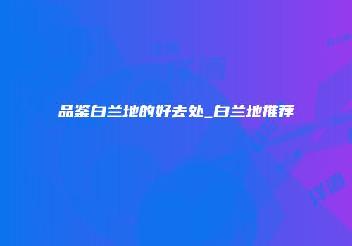 品鉴白兰地的好去处_白兰地推荐