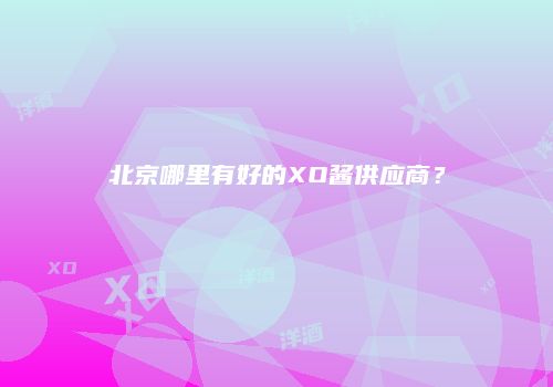 北京哪里有好的XO酱供应商？