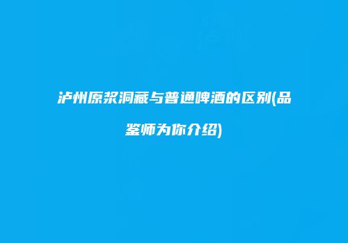 泸州原浆洞藏与普通啤酒的区别(品鉴师为你介绍)