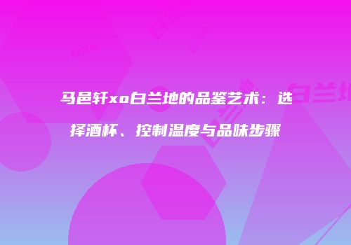 马邑轩xo白兰地的品鉴艺术：选择酒杯、控制温度与品味步骤