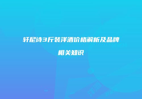 轩尼诗3斤装洋酒价格解析及品牌相关知识