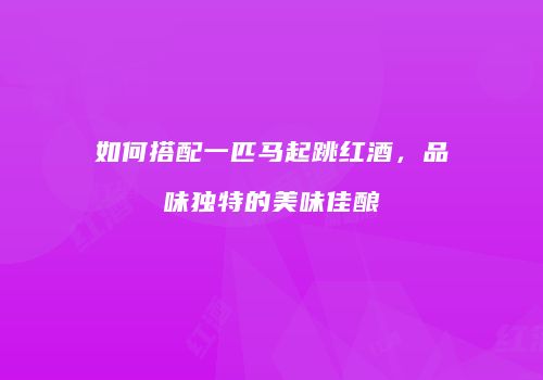 如何搭配一匹马起跳红酒，品味独特的美味佳酿