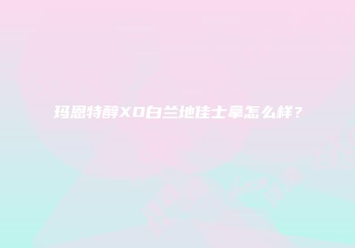 玛恩特醇XO白兰地佳士拿怎么样？