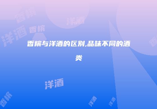 香槟与洋酒的区别,品味不同的酒类