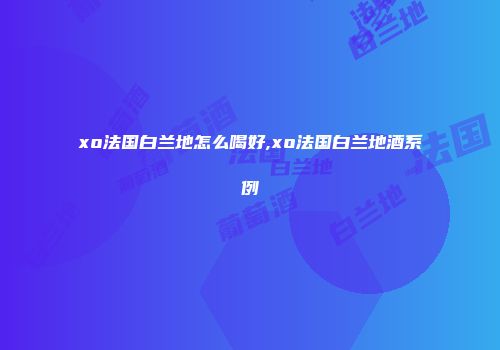 xo法国白兰地怎么喝好,xo法国白兰地酒系例