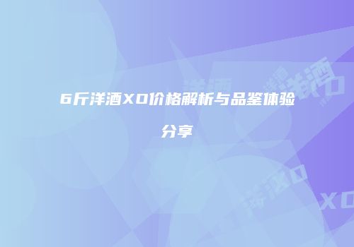 6斤洋酒XO价格解析与品鉴体验分享