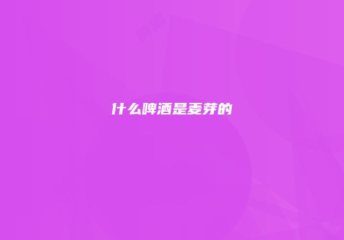 什么啤酒是麦芽的