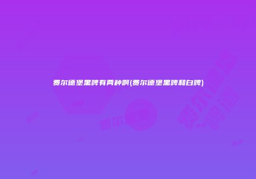 费尔德堡黑啤有两种啊(费尔德堡黑啤和白啤)